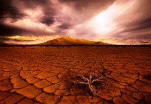 نابودی زمین توسط بشر در اواخر قرن 21 26 نابودی زمین توسط بشر در اواخر قرن 21