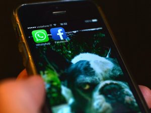 امکانات جدید WhatsApp 25 امکانات جدید WhatsApp 8