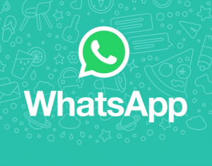 WhatsApp قابلیت به اشتراک گذاری GIF را پشتیبانی می کند 31 WhatsApp قابلیت به اشتراک گذاری GIF را پشتیبانی می کند 6