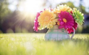 عکس پروفایل بهاری