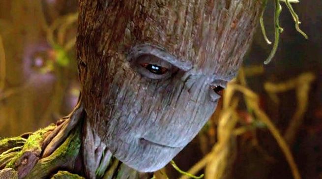 شخصیت Marvel Groot 6 شخصیت Marvel Groot 2