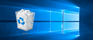 ظرفیت Recycle Bin