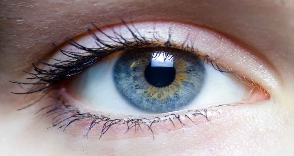 چشم چند مگاپیکسلی است ؟ 9 چشم
