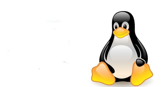 مقایسه توزیع های Linux ؛ تفاوت نسخه های لینوکس چیست؟ 6 تفاوت نسخه های لینوکس