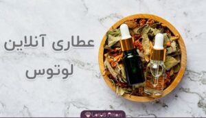 لوتوس