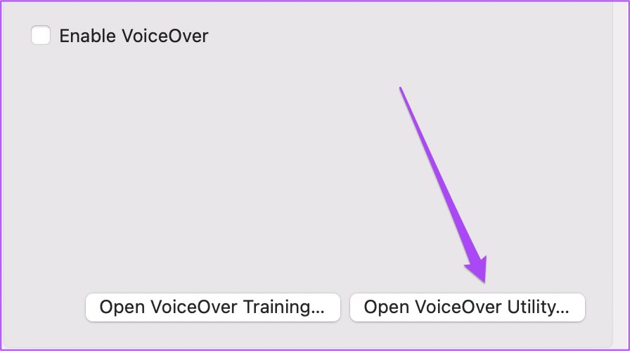 نحوه استفاده از VoiceOver در مک