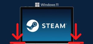 نحوه بارگیری و استفاده از Steam در ویندوز 11