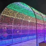 تزیین دکوراسیون داخلی و خاجی با ریسه های سوزنی